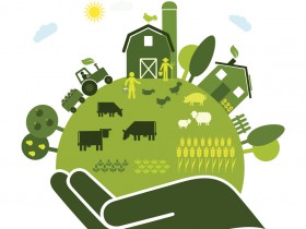 «Сельский туризм - эффективный инструмент развития агробизнеса»